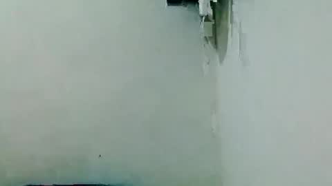 davidrocero online show from 11.24.25