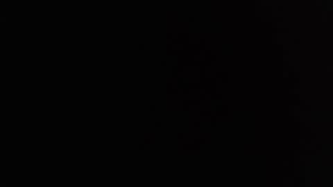 Snapshot of davselfs chatting on 02.27.25 dav online show from 02.27.25