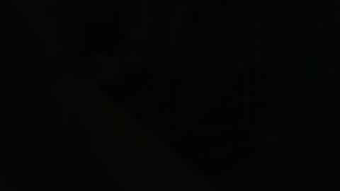 ddog1993 online show from 04.22.26