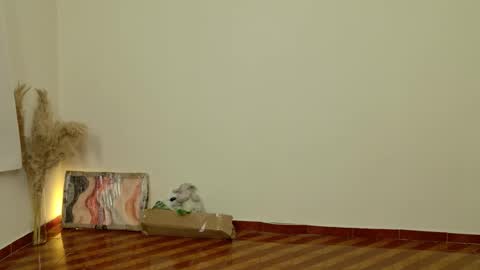 Dean online show from 02.06.26