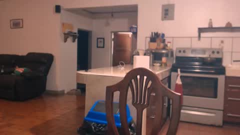 Snapshot of debbie_n_paul chatting on 11.22.25 Paul Fitz online show from 11.22.25