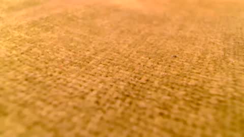 deliciaalove online show from 12.17.24