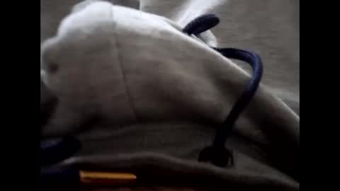 deliv_shopi online show from 01.15.26