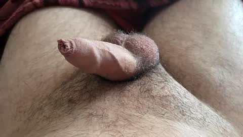 Snapshot of denis647 chatting on 11.16.25 LilRoach online show from 11.16.25