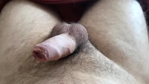 Snapshot of denis647 chatting on 12.01.25 LilRoach online show from 12.01.25