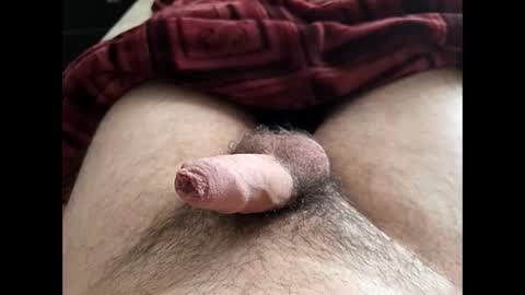 Snapshot of denis647 chatting on 02.10.26 LilRoach online show from 02.10.26