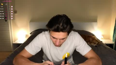 Den online show from 04.08.26