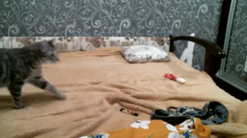 DennisXCarol online show from 02.18.25