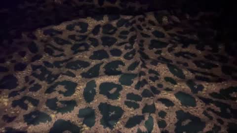 derek829099 online show from 10.09.25