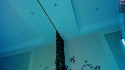 Devil online show from 02.19.25