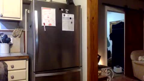 devjsav12 online show from 01.19.25