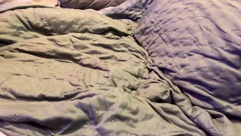 dicapri91 online show from 01.17.25