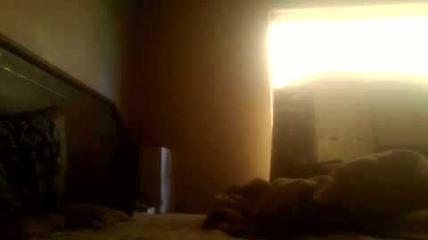 dickdaxxx online show from 03.02.25