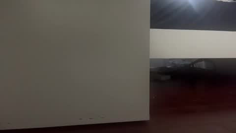 dickmanthe1 online show from 01.13.26