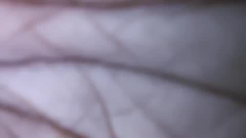 Dick balls online show from 12.01.24