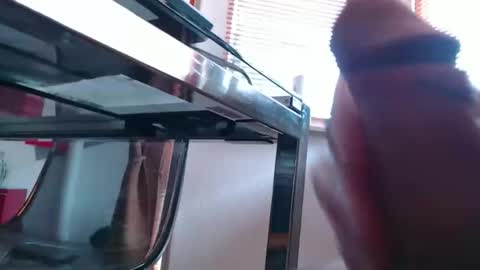 squirtcock online show from 03.19.26