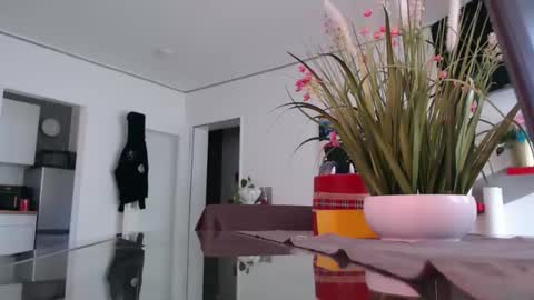 squirtcock online show from 04.02.26