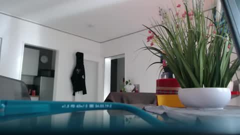 squirtcock online show from 04.05.26