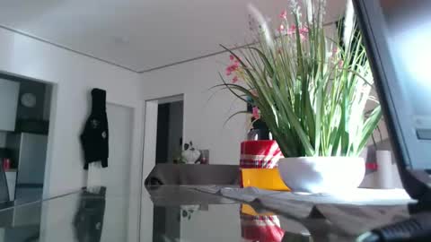 squirtcock online show from 04.06.26