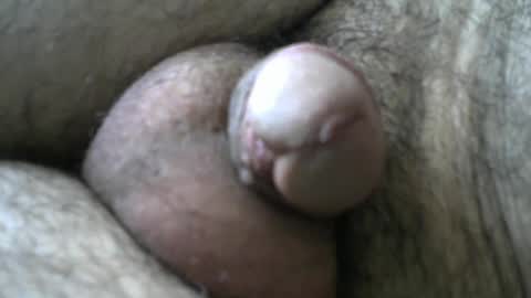 Snapshot of dilaradagci chatting on 01.11.25 Bob online show from 01.11.25