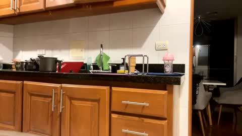 dilfofthenextdoor42 online show from 03.07.25