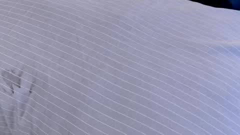 Dilldough405 online show from 02.24.25