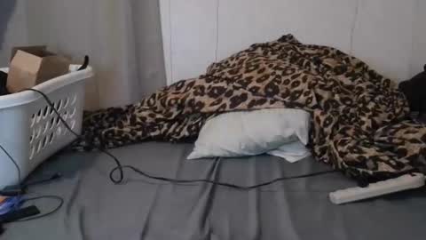 Sofie online show from 01.16.26