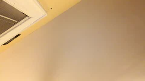 Snapshot of dinglerdingler chatting on 12.08.24 Dingler online show from 12.08.24