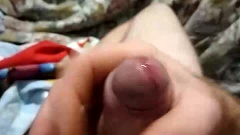 dingo_250 online show from 09.19.25