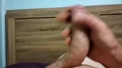 dingo_250 online show from 10.06.25