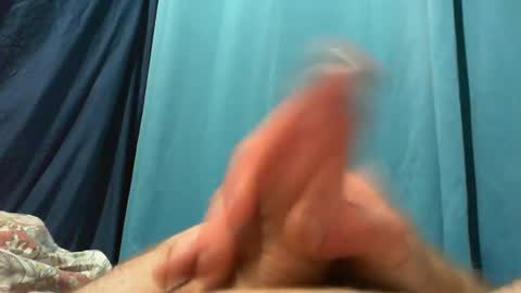 dingo_250 online show from 10.15.25