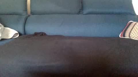 dinnerout1111 online show from 02.17.25