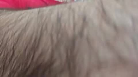 dios891 online show from 04.25.26