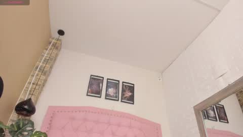 Snapshot of diosaa_golden chatting on 02.18.25 DIOSA online show from 02.18.25