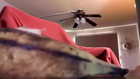 Snapshot of dipstik11 chatting on 10.09.25 DIPSTIK online show from 10.09.25