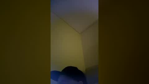 Snapshot of dirkdigglerofficial chatting on 07.12.26 dirkdigglerofficial online show from 07.12.26