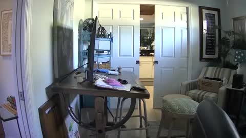 DirtkPitt Fun guy working online show from 02.01.25