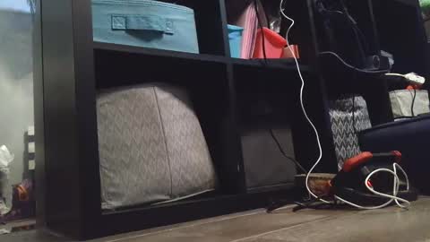 Snapshot of dirtydaisy1998 chatting on 12.27.24 Daisy Wylde online show from 12.27.24