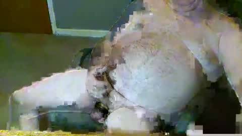 dirtydave52 online show from 03.28.26