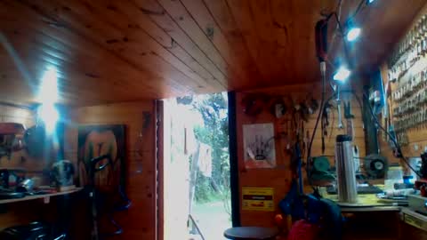 Snapshot of discretopasivo chatting on 06.13.26 discretopasivo online show from 06.13.26