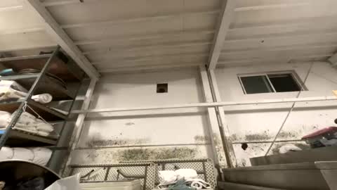 Snapshot of dishtv4all chatting on 10.27.25 sexyguy online show from 10.27.25