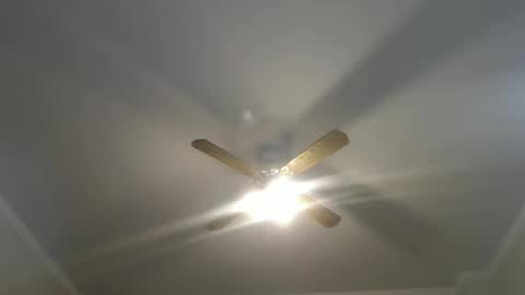 Your Best Worst Nightmare online show from 01.12.25