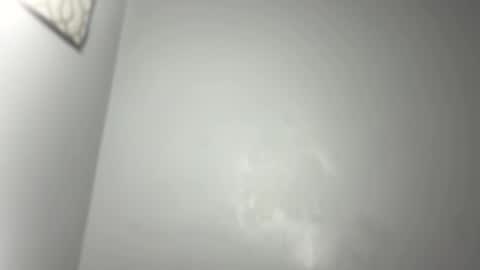 Snapshot of dixkzilla chatting on 03.02.25 dixkzilla online show from 03.02.25