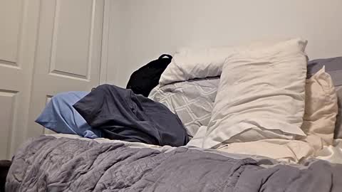 Snapshot of djaxxx_2020 chatting on 03.27.26 djaxxx_2020 online show from 03.27.26