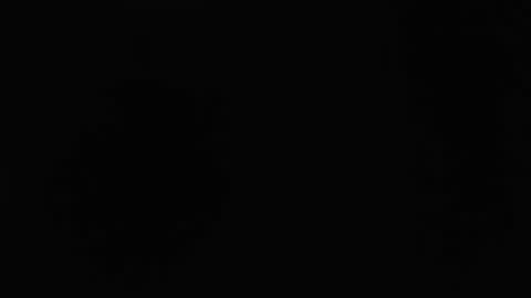 dlt22 online show from 04.12.26