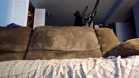 dogbone999081 online show from 12.03.25