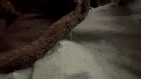 Snapshot of doingmek9 chatting on 02.20.25 doingmek9 online show from 02.20.25