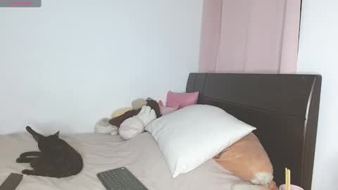Snapshot of doll_and_sex chatting on 01.21.25 Auro and Santiago online show from 01.21.25