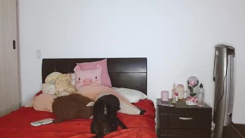 Snapshot of doll_and_sex chatting on 02.24.25 Auro and Santiago online show from 02.24.25