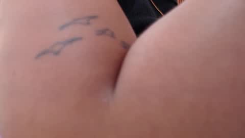 domenica online show from 02.28.26